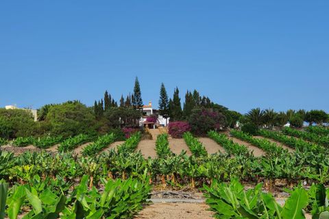 Farm hus i Moya, Gran Canaria, Moya - € 4.950.000 | Ref: 20473 - foto 25